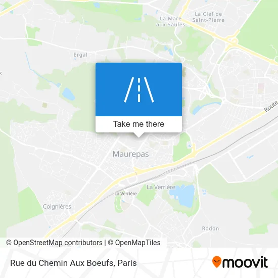 Rue du Chemin Aux Boeufs map