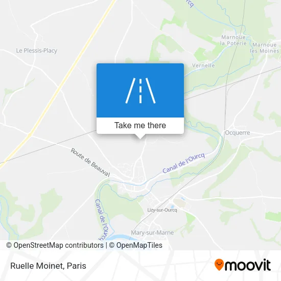 Ruelle Moinet map
