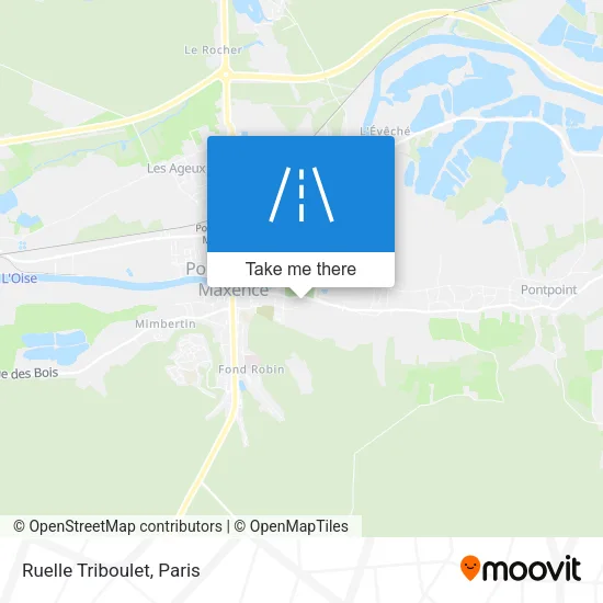 Ruelle Triboulet map