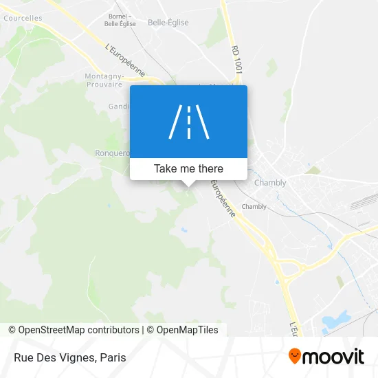 Rue Des Vignes map