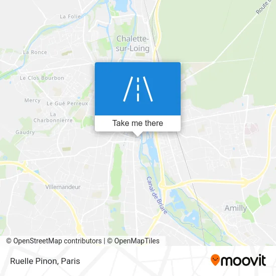 Ruelle Pinon map