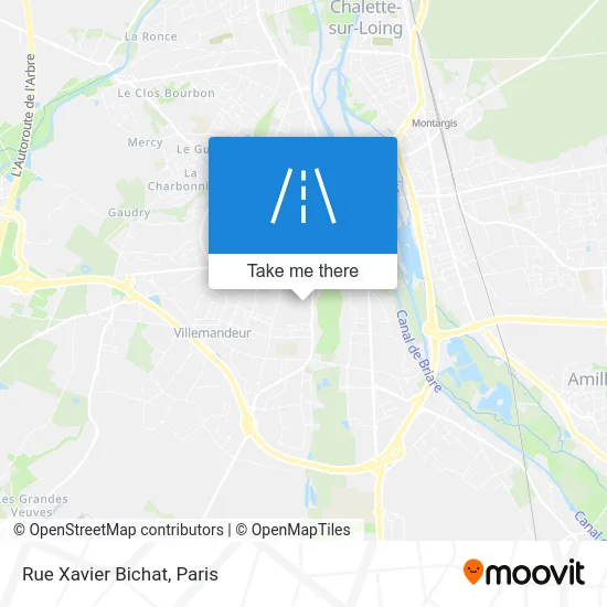 Rue Xavier Bichat map