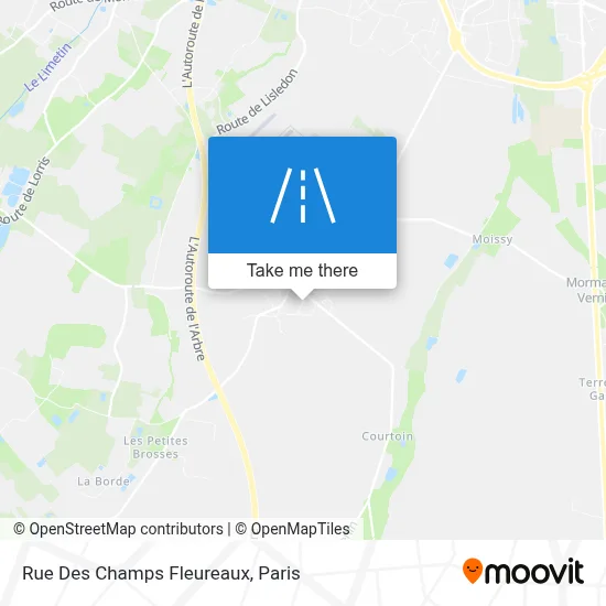 Rue Des Champs Fleureaux map