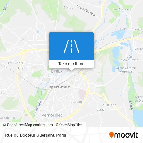 Rue du Docteur Guersant map
