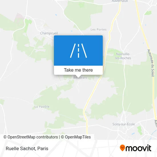 Ruelle Sachot map