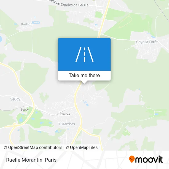 Ruelle Morantin map