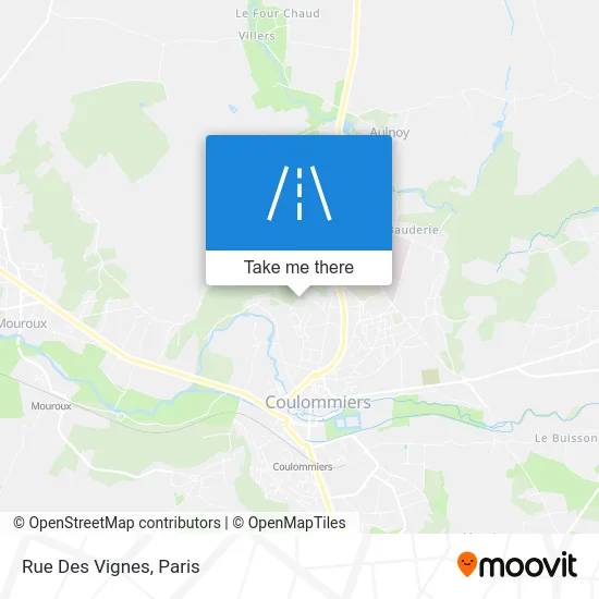Rue Des Vignes map