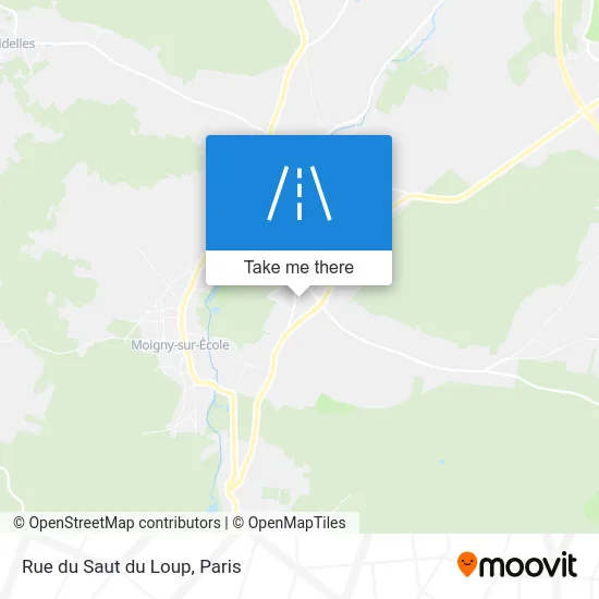 Rue du Saut du Loup map