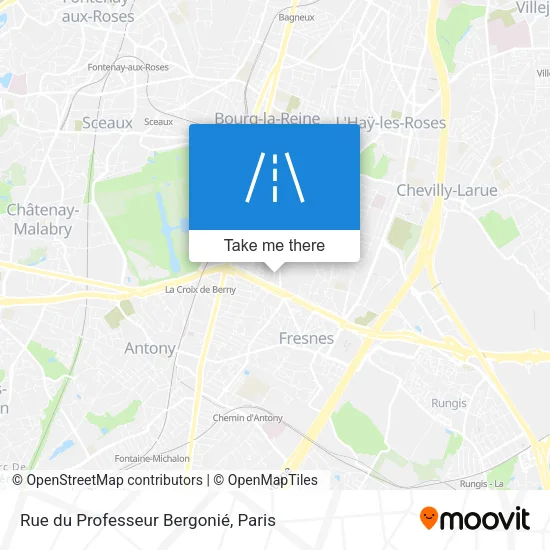 Rue du Professeur Bergonié map