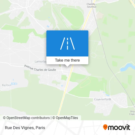 Rue Des Vignes map