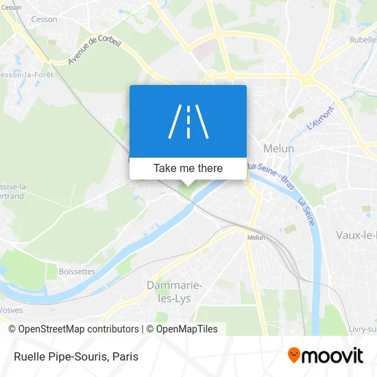 Ruelle Pipe-Souris map