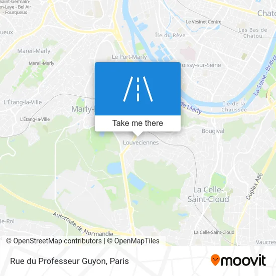 Rue du Professeur Guyon map