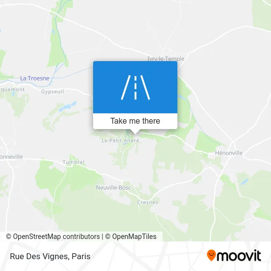 Rue Des Vignes map