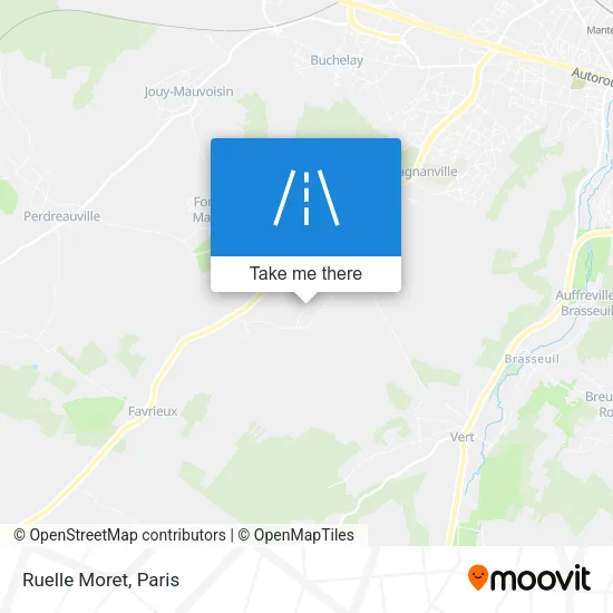 Ruelle Moret map