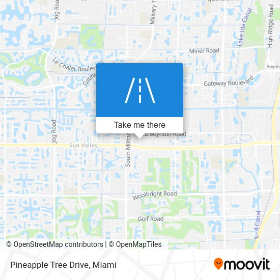 Pineapple Tree Drive map