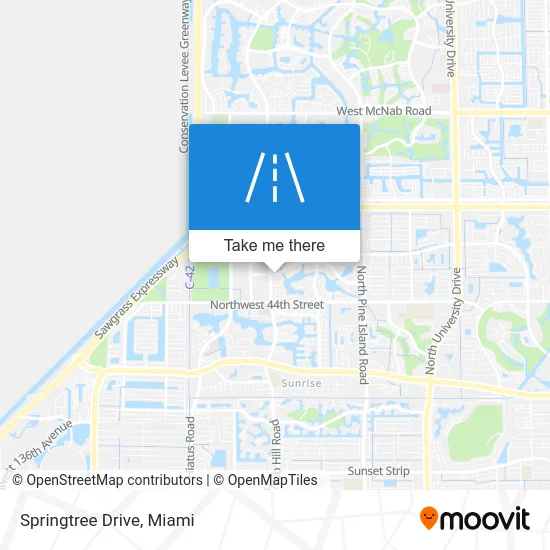 Springtree Drive map