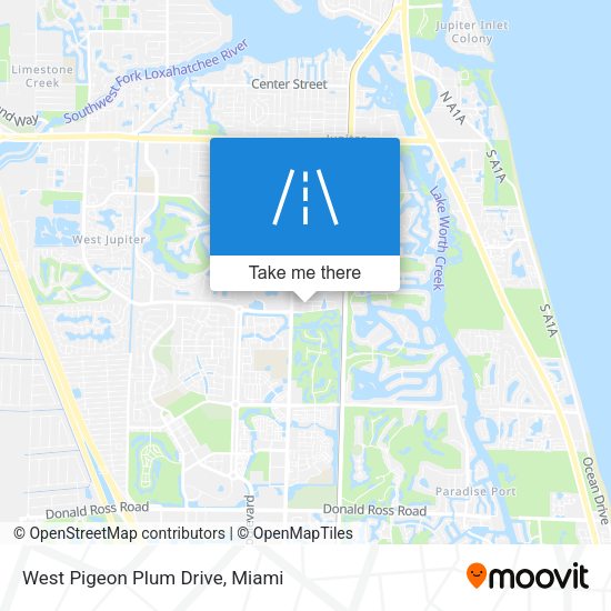 West Pigeon Plum Drive map