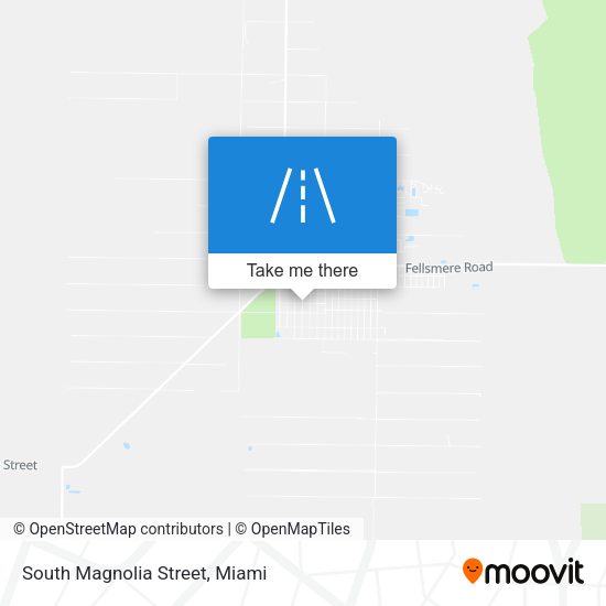South Magnolia Street map