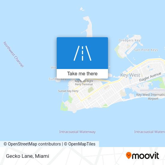 Mapa de Gecko Lane