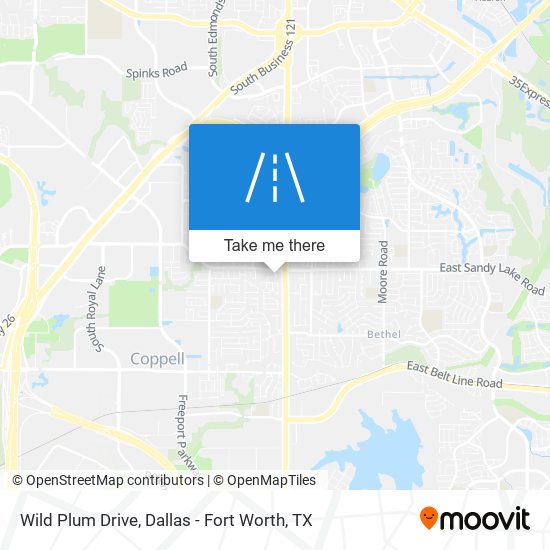 Wild Plum Drive map