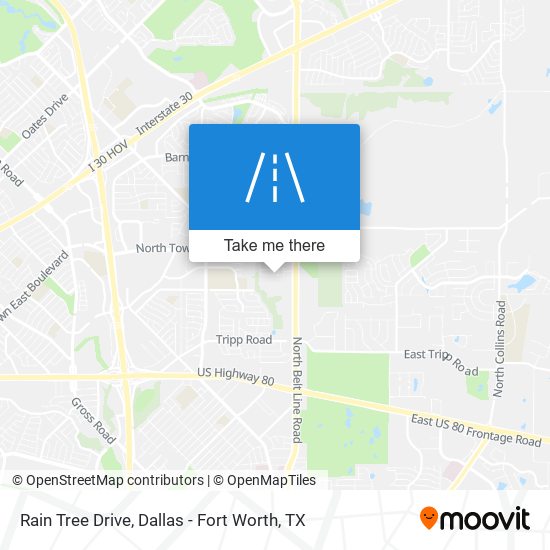 Mapa de Rain Tree Drive