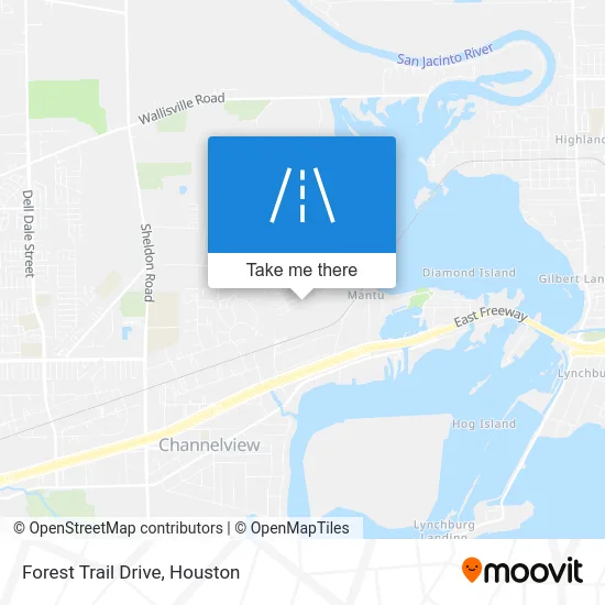 Forest Trail Drive map