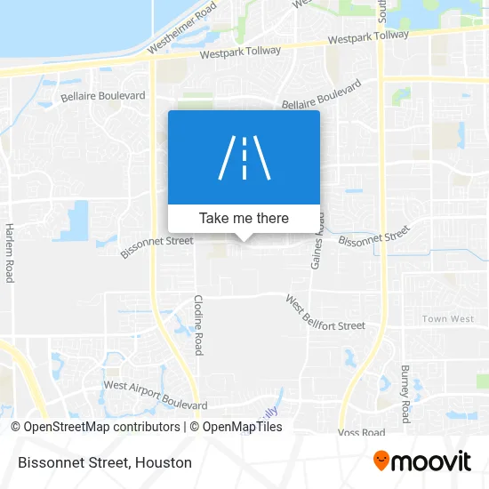 Bissonnet Street map
