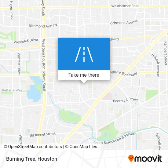 Burning Tree map