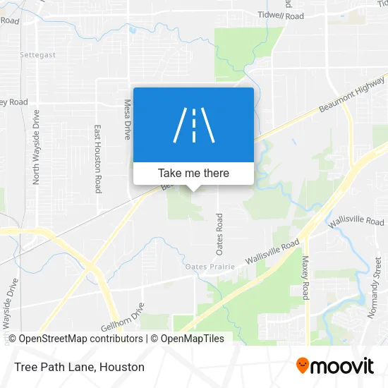 Mapa de Tree Path Lane