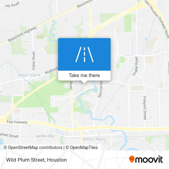 Wild Plum Street map