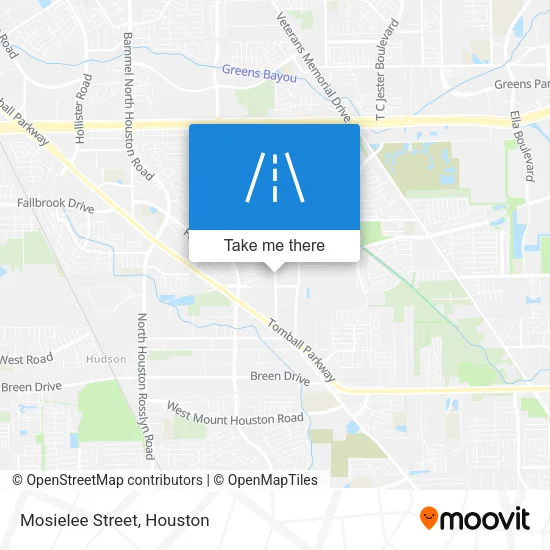 Mosielee Street map