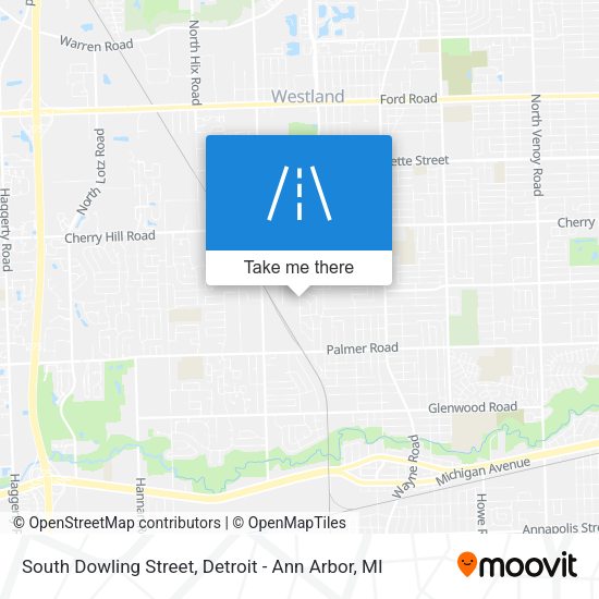 South Dowling Street map