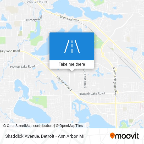 Shaddick Avenue map