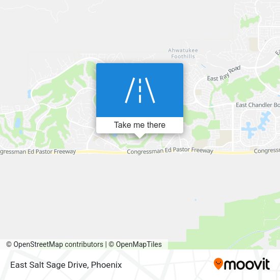 East Salt Sage Drive map