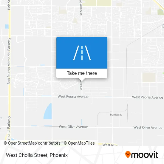 West Cholla Street map