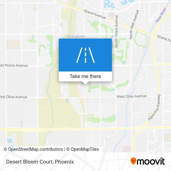 Desert Bloom Court map