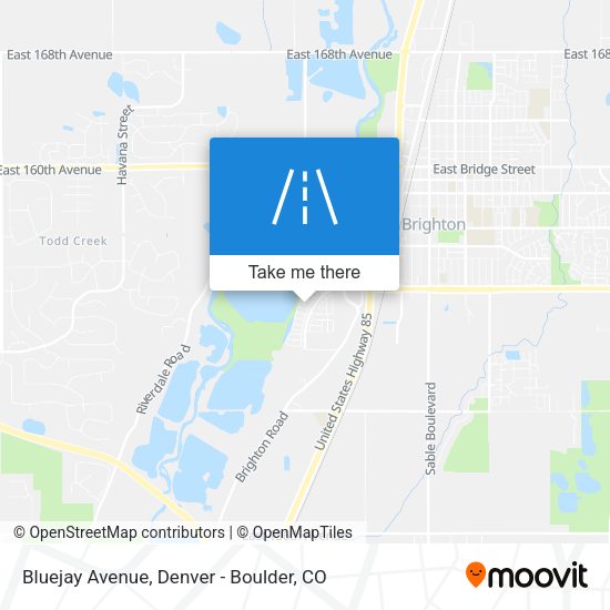 Bluejay Avenue map