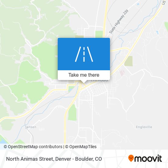 North Animas Street map