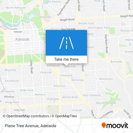 Plane Tree Avenue map