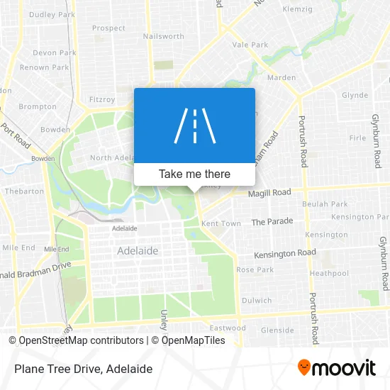 Mapa Plane Tree Drive