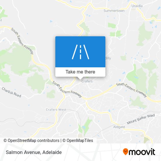Salmon Avenue map
