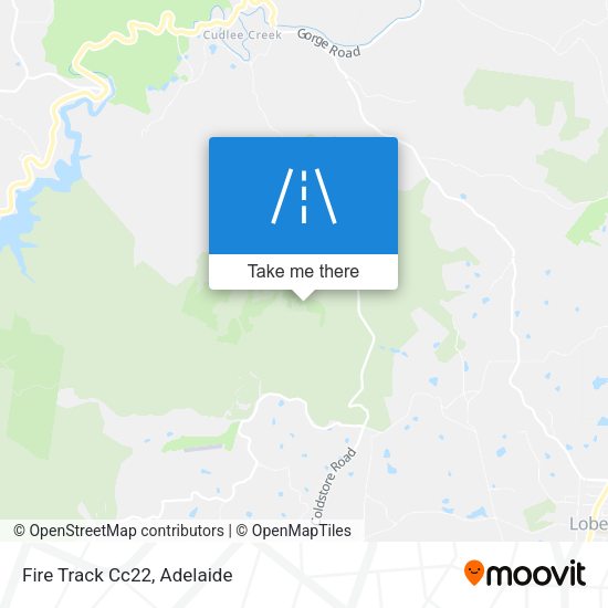 Fire Track Cc22 map