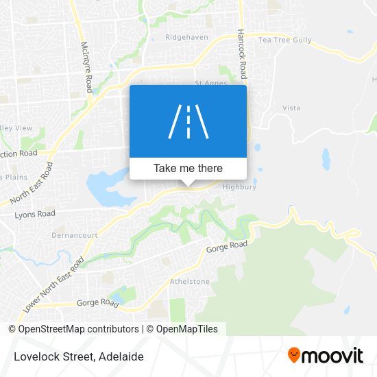 Lovelock Street map
