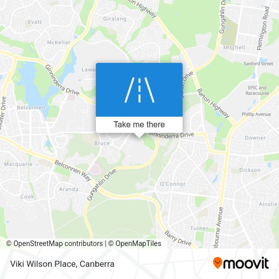 Viki Wilson Place map