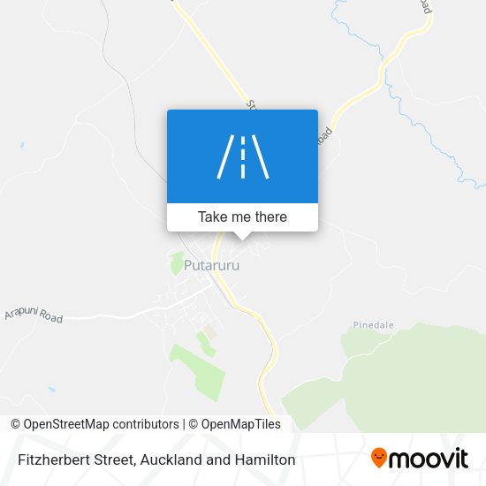 Fitzherbert Street map