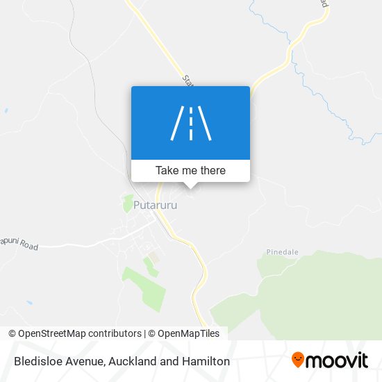 Bledisloe Avenue map
