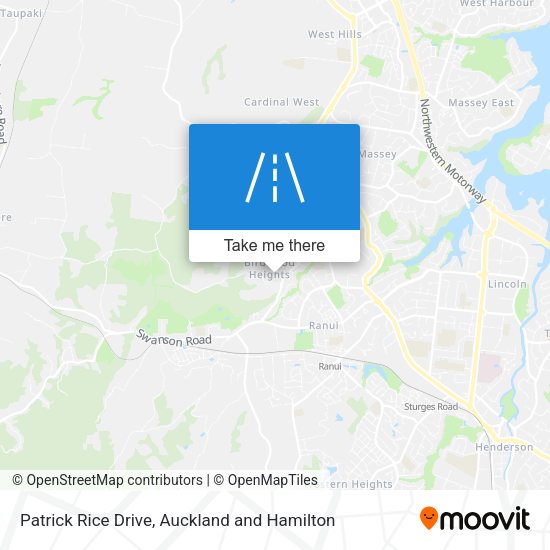 Patrick Rice Drive map