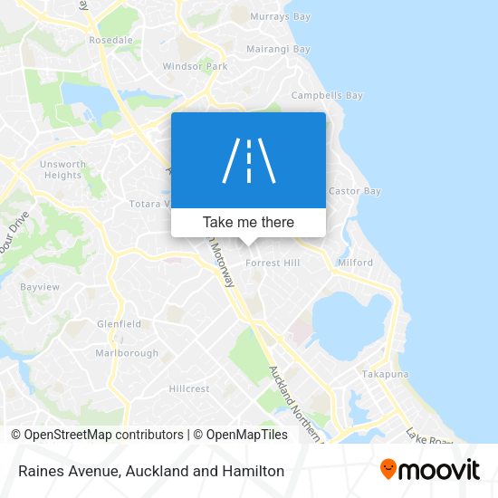 Raines Avenue map