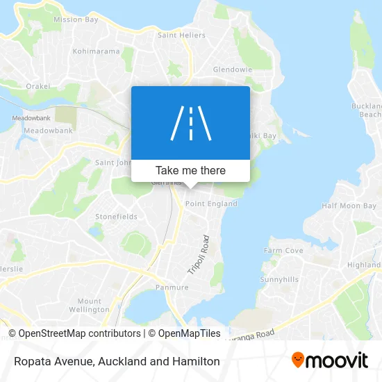 Ropata Avenue map