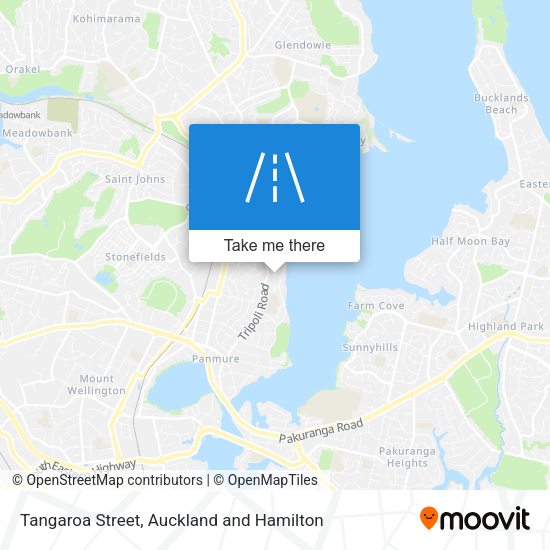 How to get to Tangaroa Street in Point England by Bus?